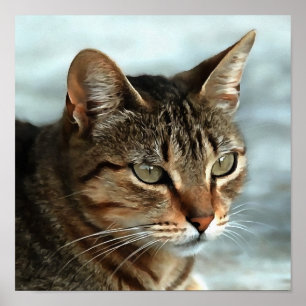 Affiche Tabby Cat étonnant FermerPortrait Artistique