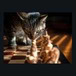 Affiche Tabby Cat Jouer Aux Échecs<br><div class="desc">Tabby Cat Playing. Domestic feline after the rook. frontiernow.com</div>