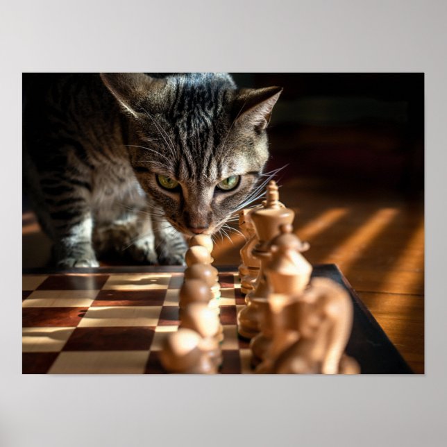 Affiche Tabby Cat Jouer Aux Échecs (Devant)