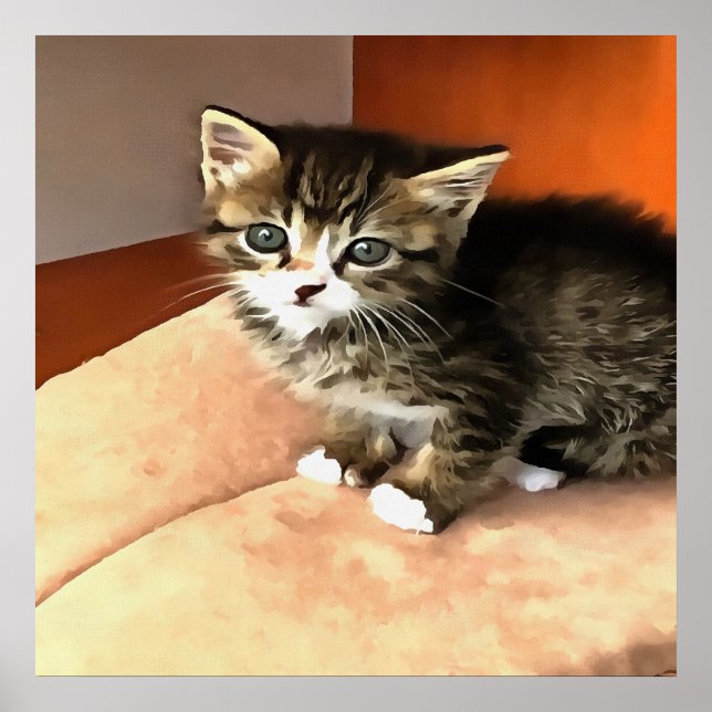 Affiche Tabby Cat Kitten Portrait pour animaux (Devant)