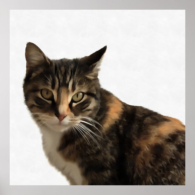 Affiche Tabby Cat Portrait Artistique Sur Arrière - plan B (Devant)