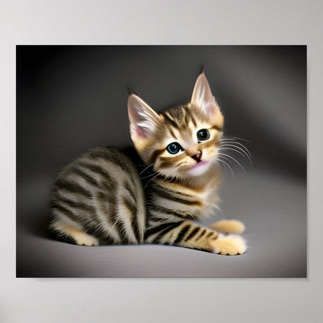 Affiche Tabby chatte moelleux chatte bébé (Devant)