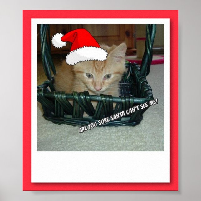 Affiche Tabby de Noël Orange Kitty Chat (Devant)