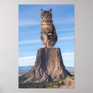 Affiche Tabby géant de la tour du Diable