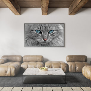Affiche Tabby Gris et Noir Chat avec de beaux yeux bleus