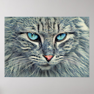 Affiche Tabby gris - Yeux bleu chat