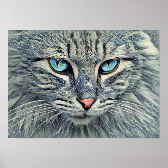Affiche Tabby gris - Yeux bleu chat (Devant)