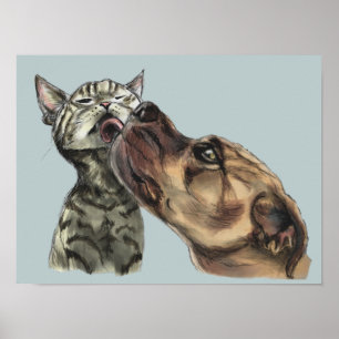 Affiche Tabby Kitten Obtenir Un Pit Bull Baiser