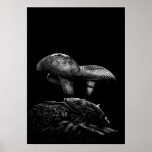 Affiche Tabourets Sur Un Trail No 5