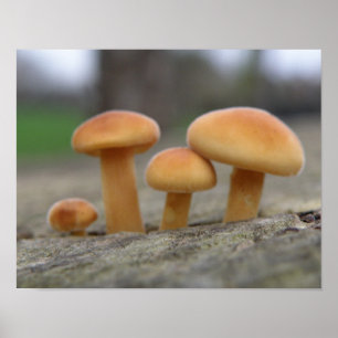 Affiche Tabourets Tabourets Macro Print