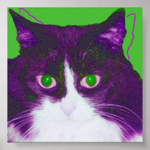 Affiche Tache