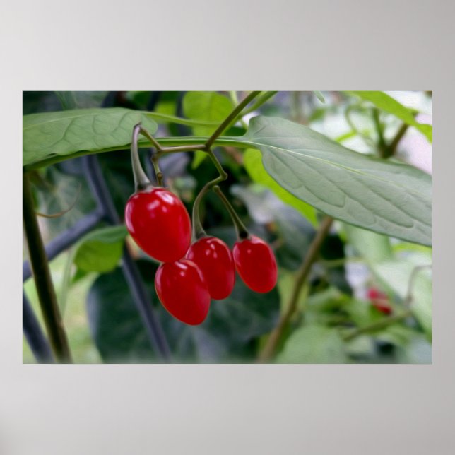 Affiche Taches rouges d'automne (Devant)