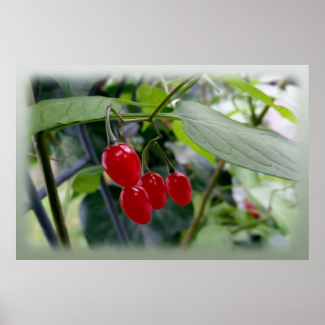 Affiche Taches rouges d'automne (Devant)