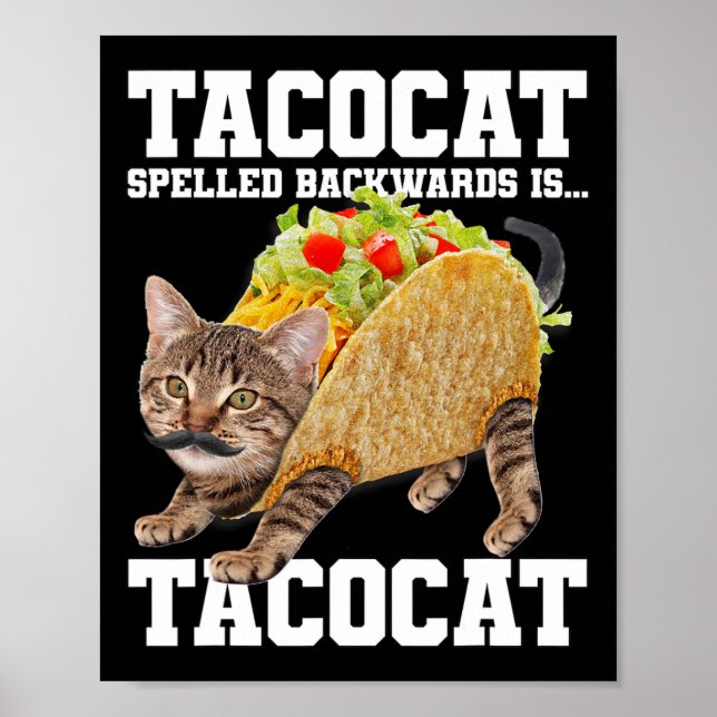 Affiche Taco Chat Écrit À L'Arrière Est Tacocat Mème Silly (Devant)