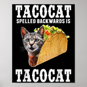 Affiche Tacocat Écrit À L'Arrière Est Tacocat Drôle Chat L