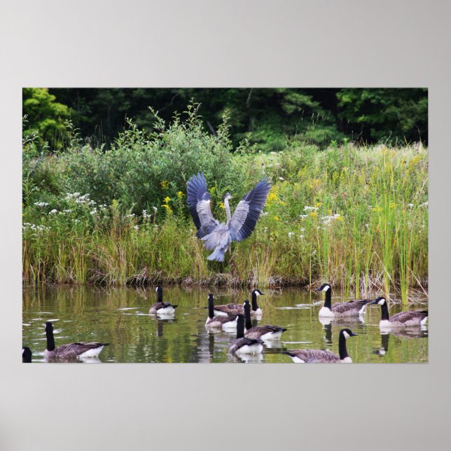 AFFICHE TADA ! (Devant)