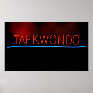 Affiche Taekwondo
