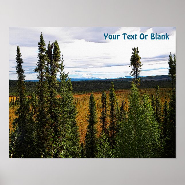 Affiche Taiga été (Devant)