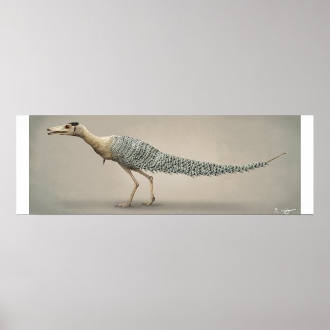 Affiche Taille de la vie Shuvuuuia (Devant)