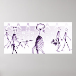 Affiche Taille personnalisée X-Ray Skeleton Aquarium Arriè