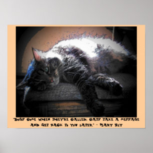 Affiche Talk to You Later with Mary Bly quote