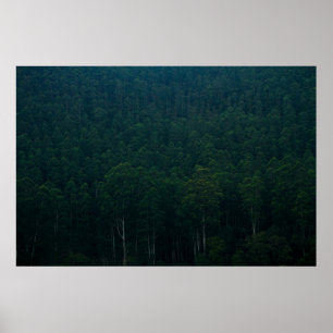 AFFICHE TALL GREEN TREES