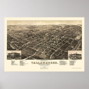 Affiche Tallahassee, FL Carte panoramique - 1885