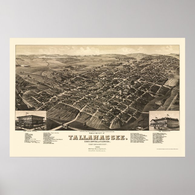 Affiche Tallahassee, FL Carte panoramique - 1885 (Devant)