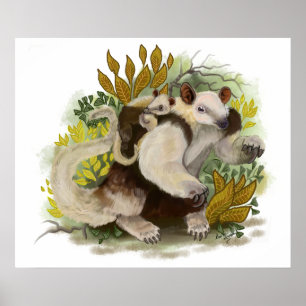 Affiche Tamandua Anteater