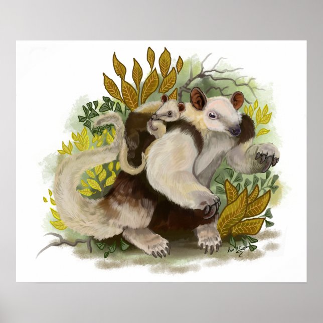 Affiche Tamandua Anteater (Devant)
