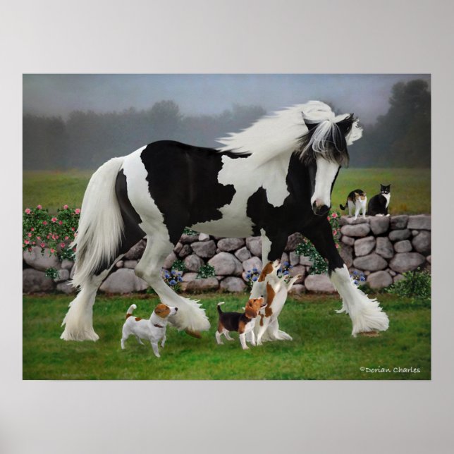 Affiche "Tamlin & Les Pups" (Devant)