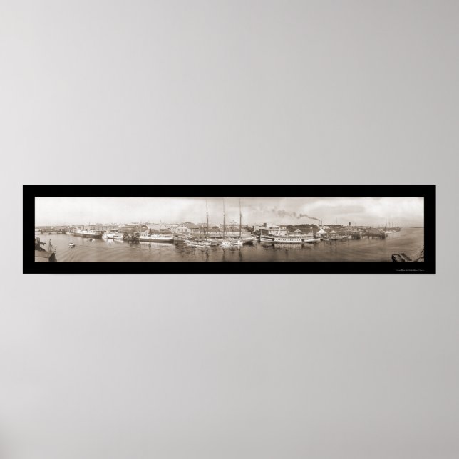 Affiche Tampa, FL Photo 1909 (Devant)
