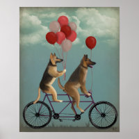 Tandem berger allemand