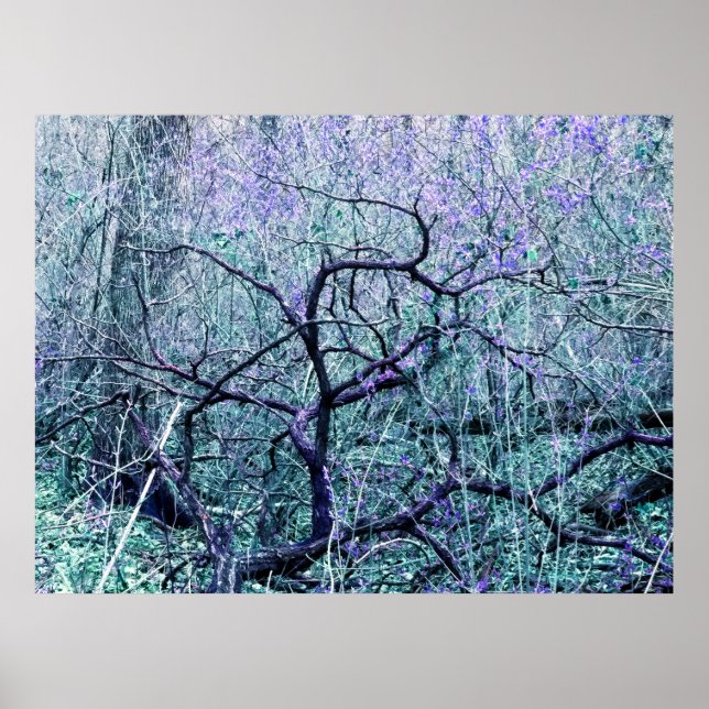 Affiche Tangle In Blue (Devant)