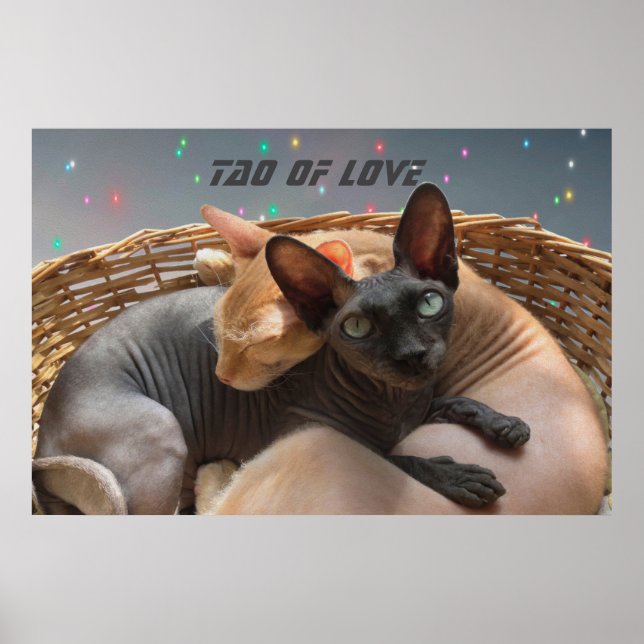 Affiche Tao of Love - Deux Chats Sphynx Personnalisés (Devant)