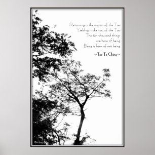 Affiche Tao Te Ching/photographie arbre B&W de coucher du