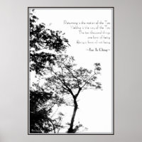Tao Te Ching/Sunset Tree B&W Photographie