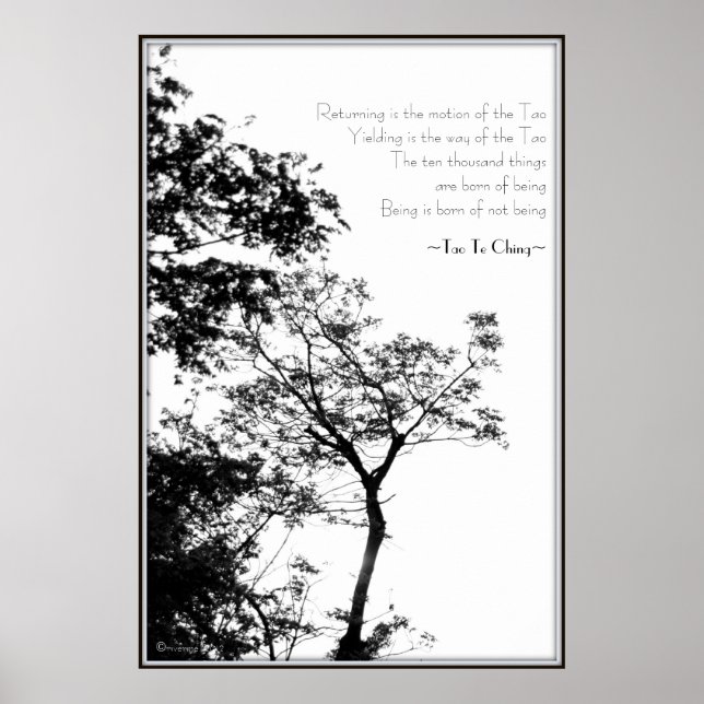 Affiche Tao Te Ching/Sunset Tree B&W Photographie (Devant)