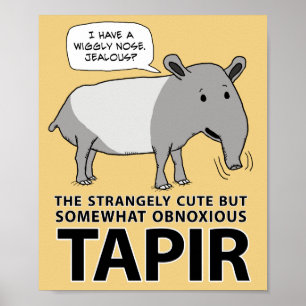 Affiche Tapir drôle et mignon mais odieux