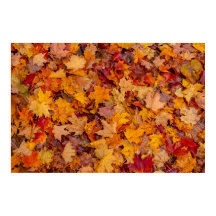 Tapis coloré, Ontario, Canada