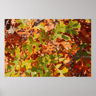 Affiche Tapisserie de chêne d'automne