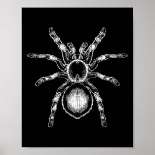 Affiche Tarantula énorme araignée Phobia Costume d'Hallowe