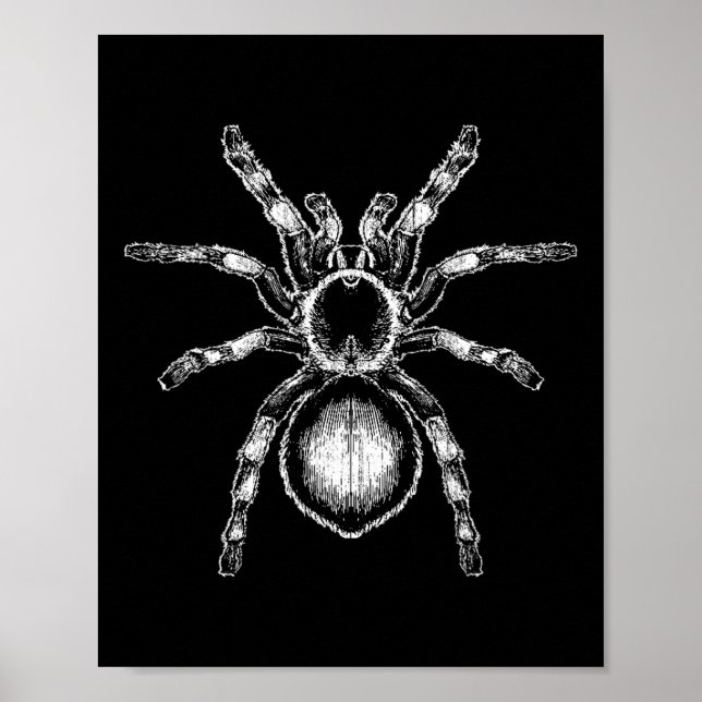 Affiche Tarantula énorme araignée Phobia Costume d'Hallowe (Devant)