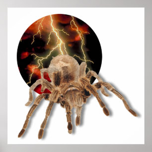 Affiche Tarantula Lightning