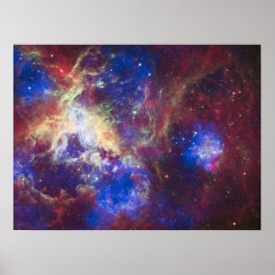 Affiche Tarantula Nebula