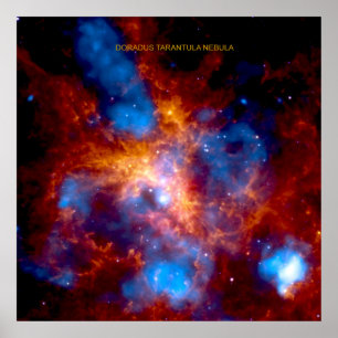 Affiche Tarantula Nebula 30 Doradus Value