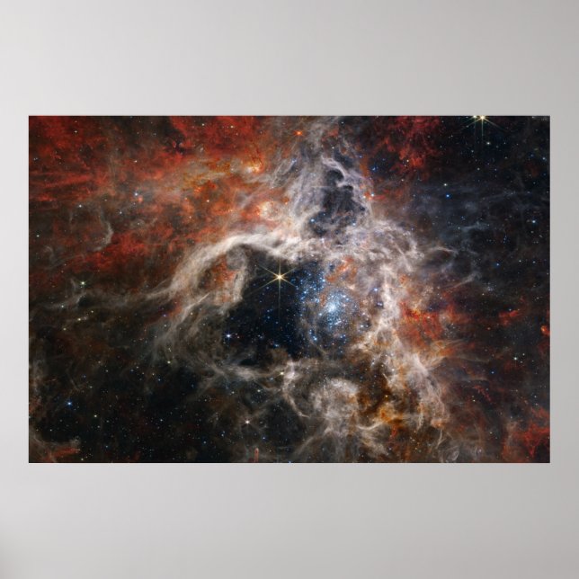 Affiche Tarantula Nebula James Webb NASA (Devant)
