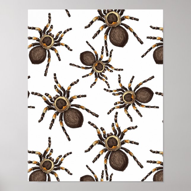 Affiche Tarantula sur blanc (Devant)