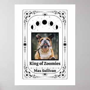 Affiche Tarot photo personnalisé pour amateur de chien Cad