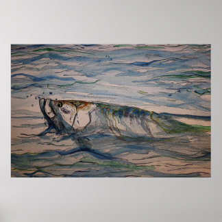 Affiche Tarpon fondu